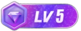 等级-LV5-坤哥资源
