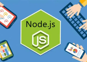 Linux使用NVM安装Node.js-坤哥资源